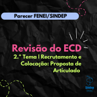 Contributos FENEI/SINDEP à proposta mais recente do MECI
