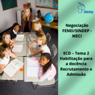 Parecer FENEI/SINDEP negociações ECD